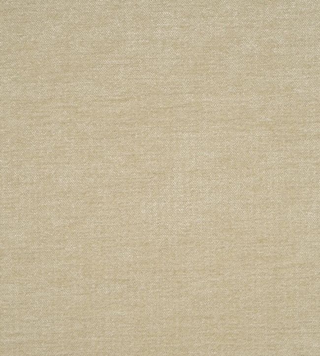 Zaragoza Fabric by Designers Guild Putty