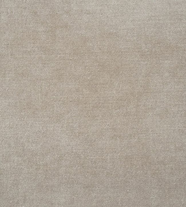 Zaragoza Fabric by Designers Guild Driftwood