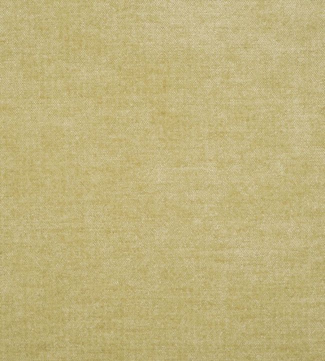 Zaragoza Fabric by Designers Guild Vanilla