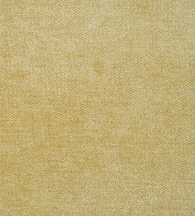 Zaragoza Fabric by Designers Guild Honey