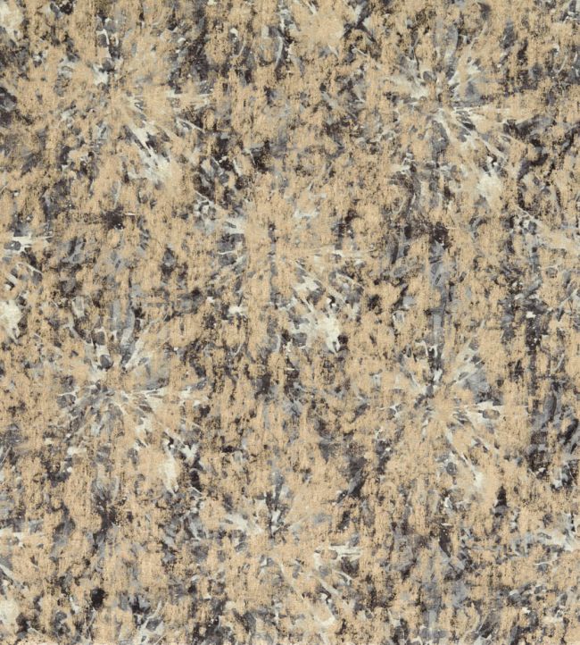 Dipinto Fabric by Clarke & Clarke Charcoal