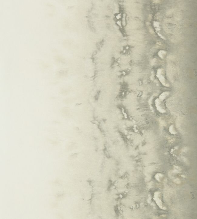 Disperse Wallpaper by Clarke & Clarke Pearl