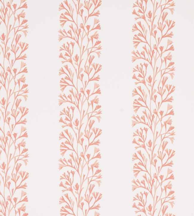 Dita Wallpaper by Jane Churchill Coral