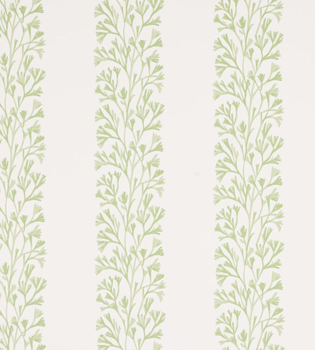 Dita Wallpaper by Jane Churchill Green
