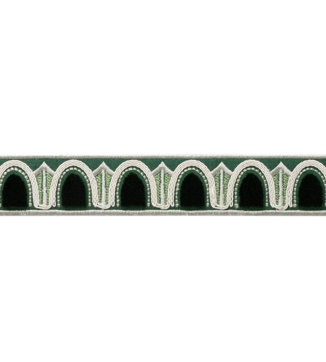 Dorian Velvet Border Trimming by Samuel & Sons Evergreen