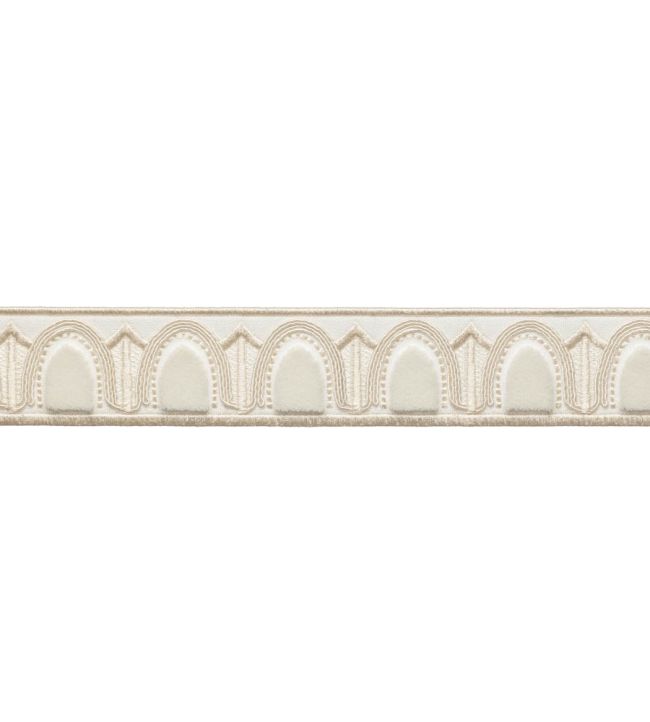 Dorian Velvet Border Trimming by Samuel & Sons Snow