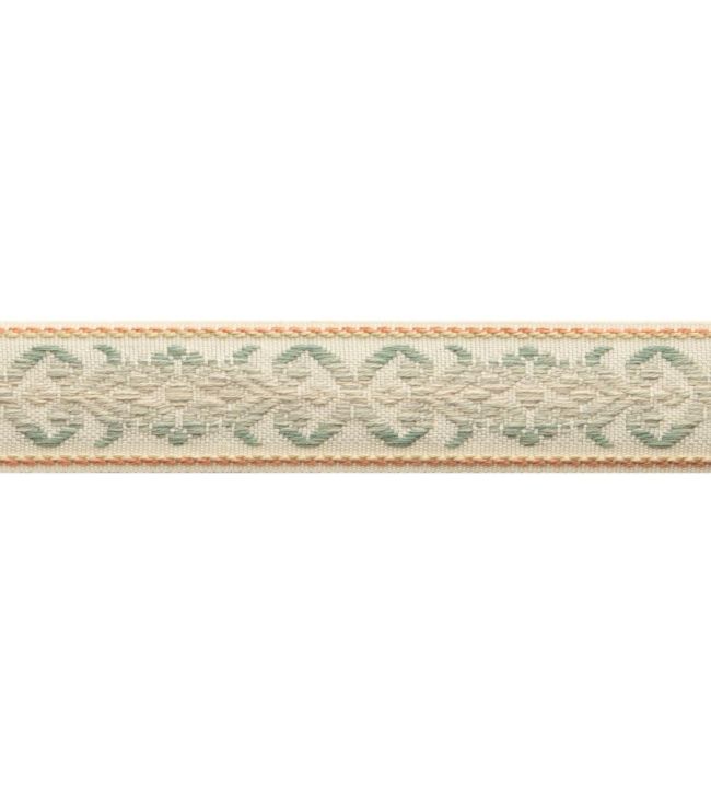 Dorset Botanical Border Trimming by Samuel & Sons Aquamarine