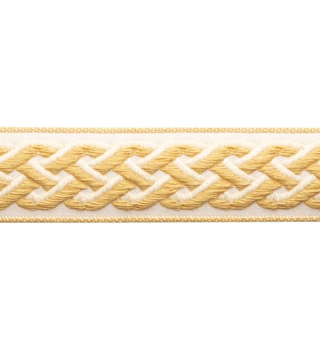 Dorset Braided Border Trimming by Samuel & Sons Honey