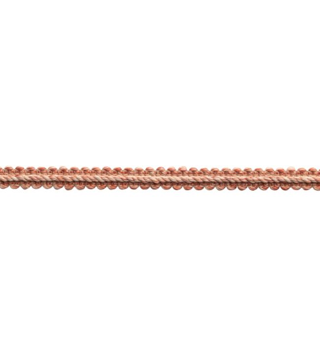 Dorset Gimp Trimming by Samuel & Sons Coral