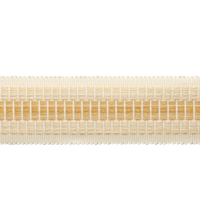 Dorset Striped Border Trimming by Samuel & Sons Honey