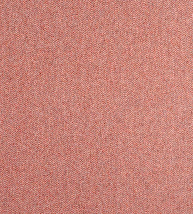 Dorset Fabric by Thibaut Adobe