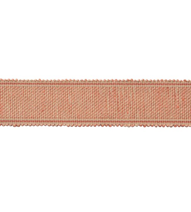 Dorset Tweeded Border Trimming by Samuel & Sons Coral