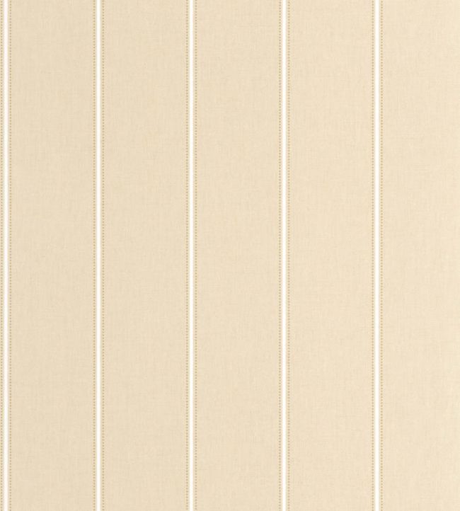 Dot Line Wallpaper by Caselio Taupe