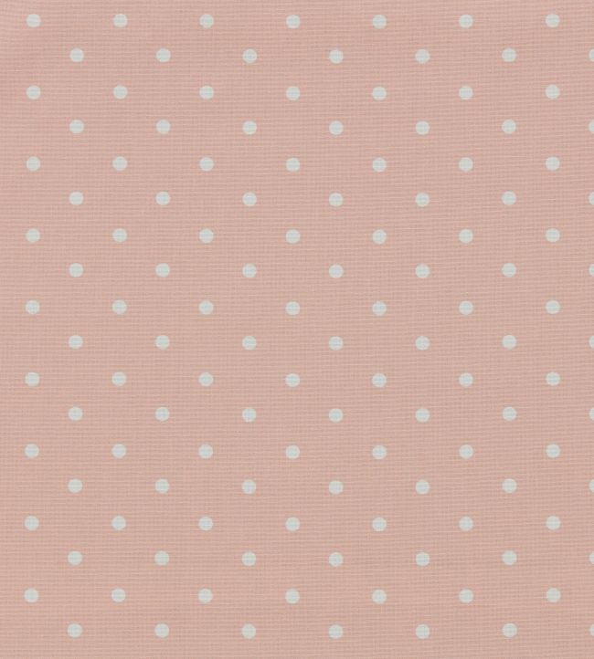 Dotty Fabric by Clarke & Clarke Blush
