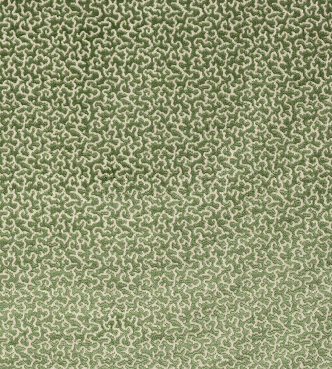 Drago Fabric by Manuel Canovas Menthe