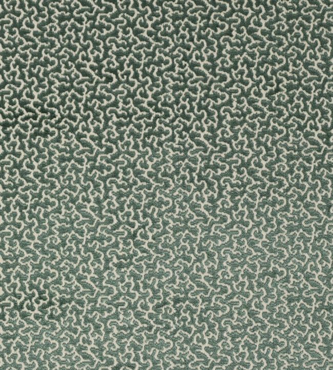 Drago Fabric by Manuel Canovas Paon
