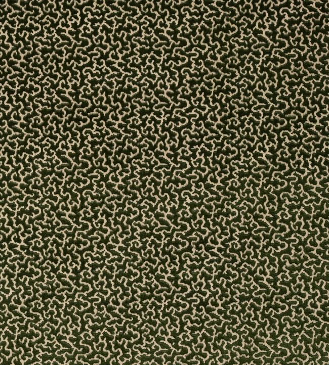 Drago Fabric by Manuel Canovas Vert Empire