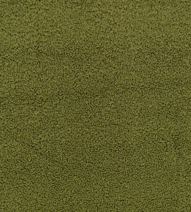 Drake Fabric by Zinc Colibri