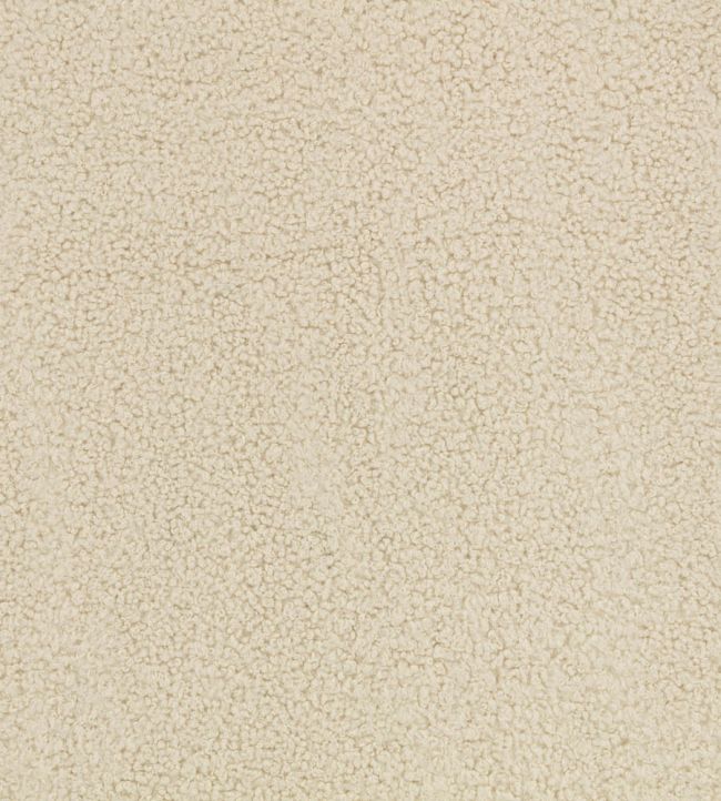 Drake Fabric by Zinc Spacedust