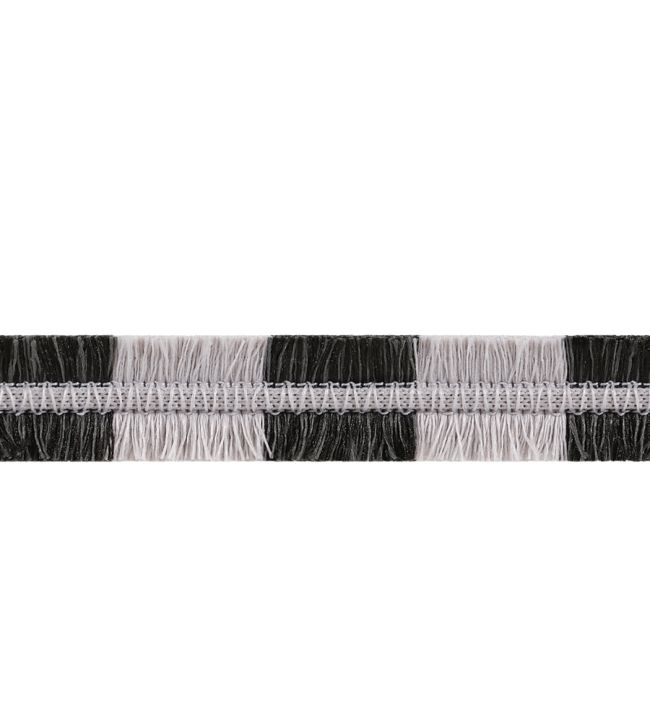 Easton Fringe Trimming by Thibaut Onyx