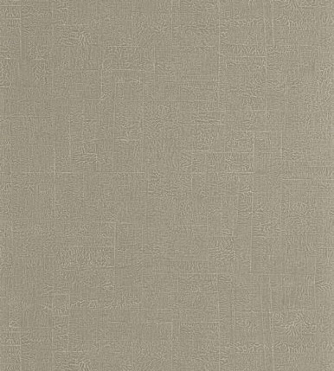 Ecume Wallpaper by Casadeco Lichen