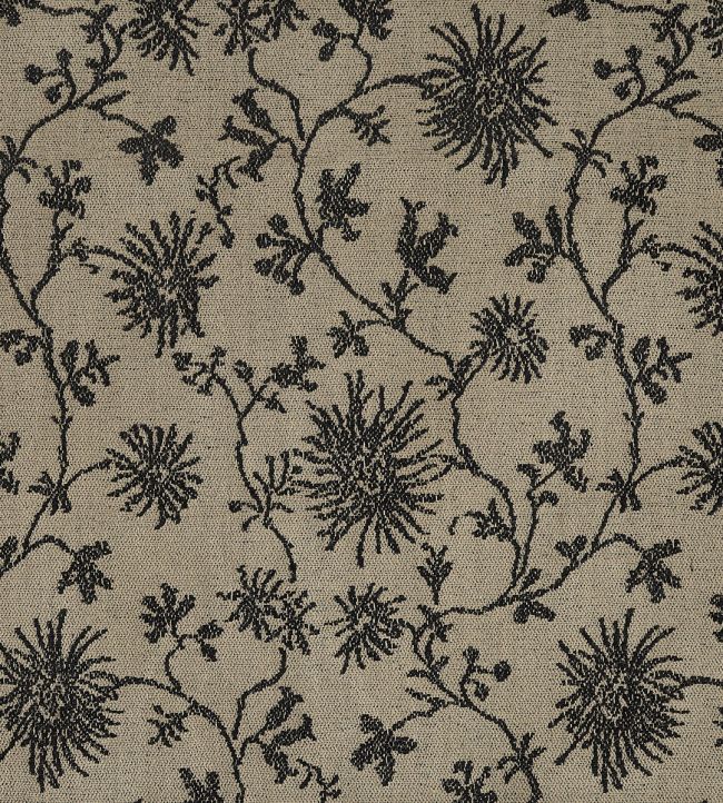 Eden Fabric by Pepe Penalver Black