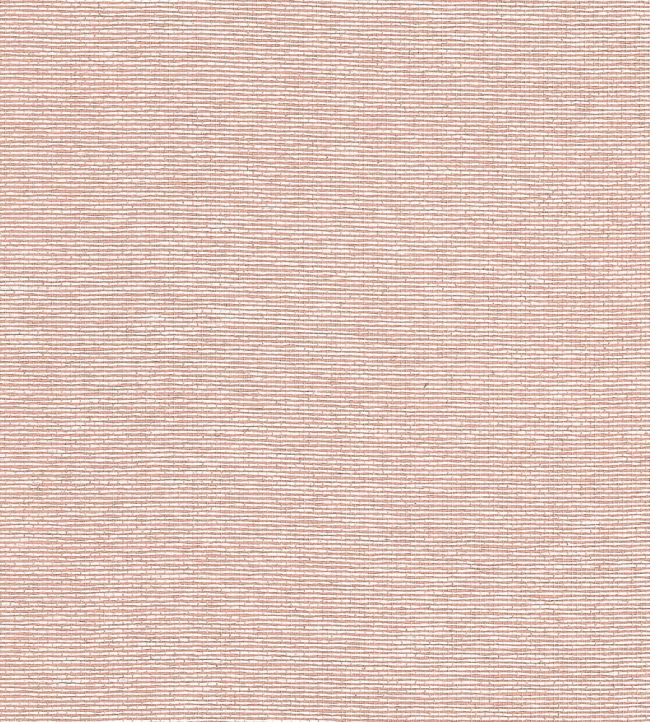 Edwards Paper Wallpaper by Thibaut Adobe