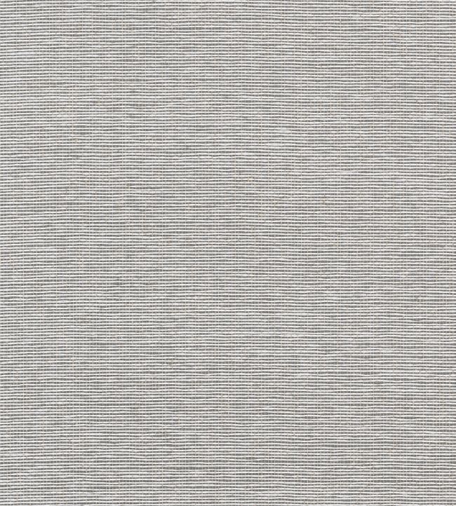 Edwards Paper Wallpaper by Thibaut Charcoal