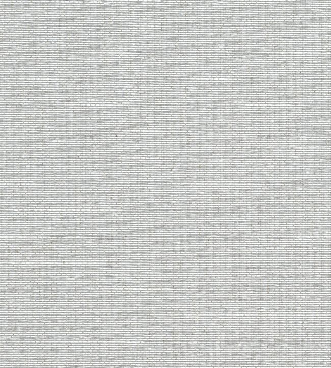Edwards Paper Wallpaper by Thibaut Grey