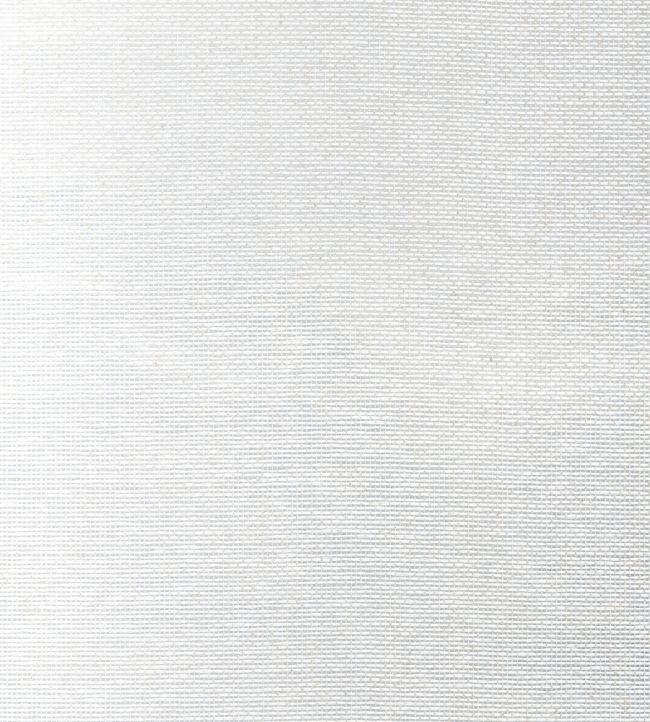 Edwards Paper Wallpaper by Thibaut Metallic Silver