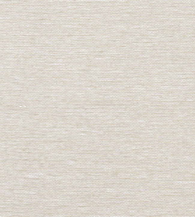 Edwards Paper Wallpaper by Thibaut Putty