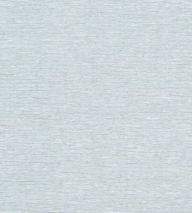 Edwards Paper Wallpaper by Thibaut Robin's Egg
