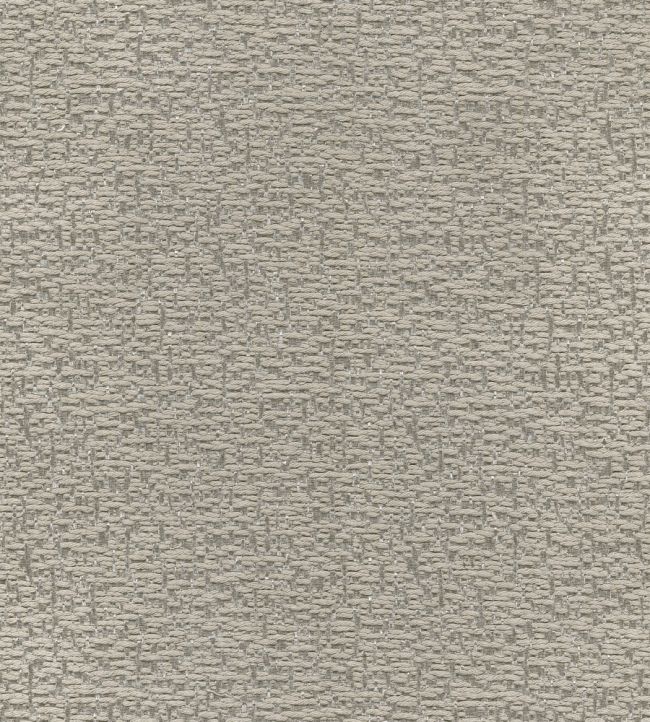Elaris Fabric by Lizzo Pebble