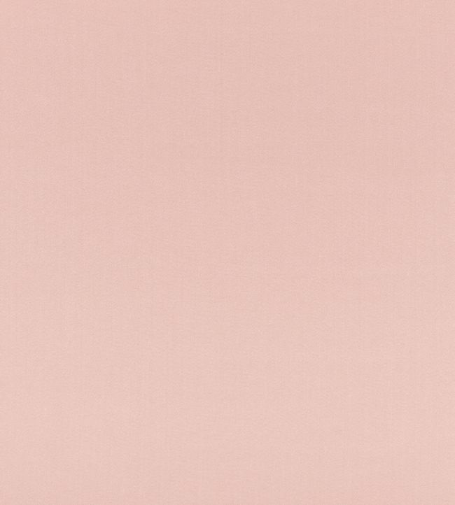 Eldon Linen Fabric by GP & J Baker Plaster