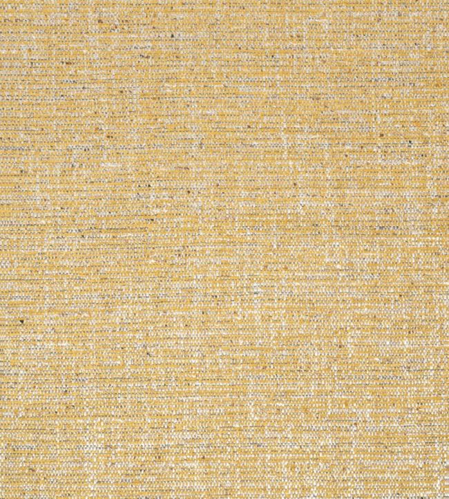 Elgin Fabric by Thibaut Dijon