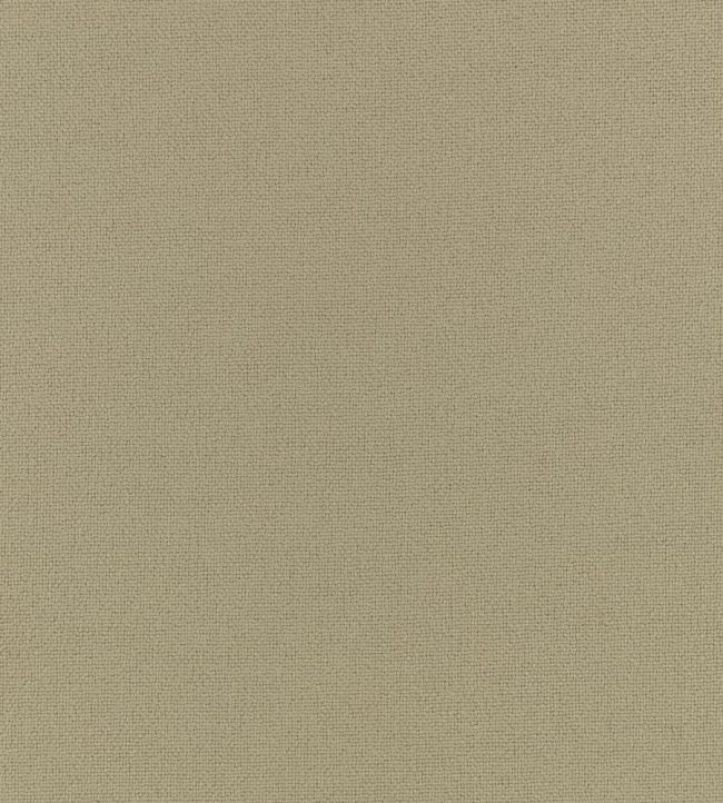 Elio FR Fabric by Romo Caper