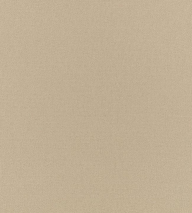 Elio FR Fabric by Romo Chamois