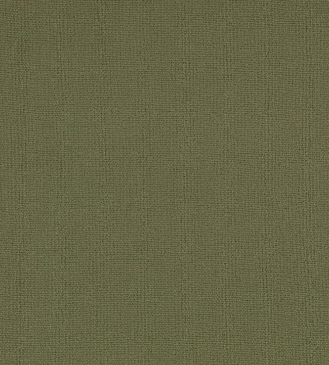 Elio FR Fabric by Romo Fern