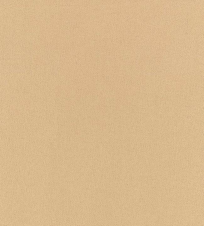 Elio FR Fabric by Romo Fudge