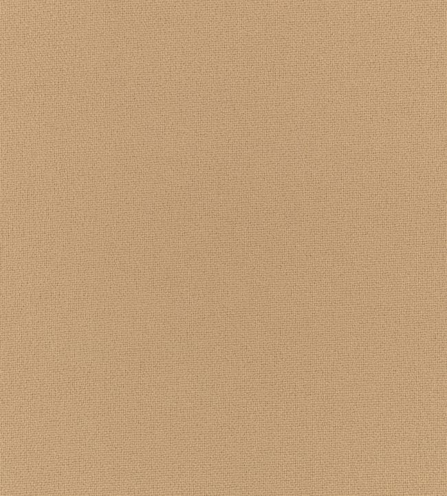 Elio FR Fabric by Romo Tamarind