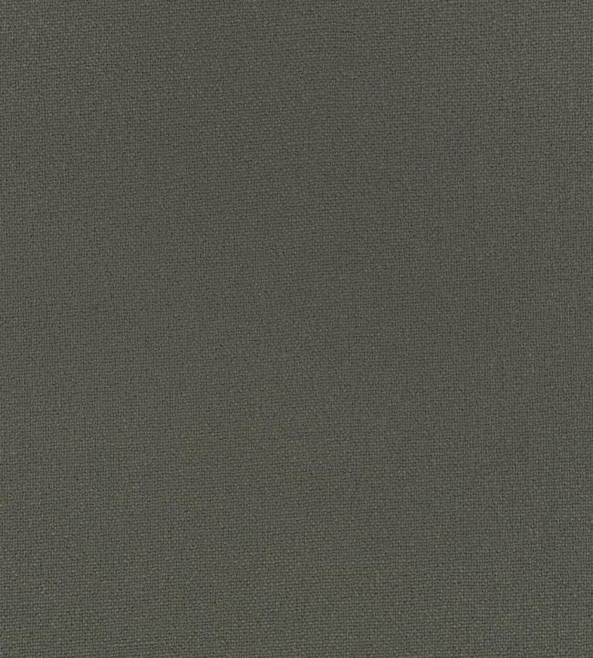 Elio FR Fabric by Romo Thunder