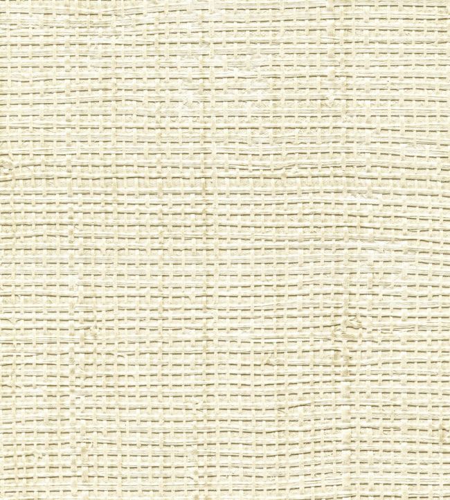 Raffia Wallpaper by Elitis 3