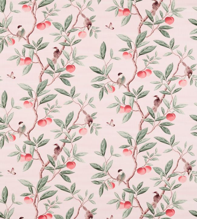 Ella Fabric by Harlequin Powder / Sage / Peach