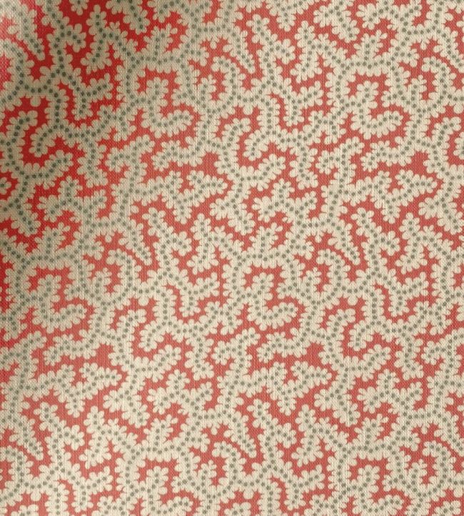 Elney Fabric by Ian Sanderson Coral