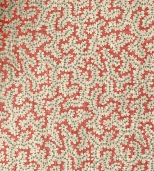Elney Fabric by Ian Sanderson Coral
