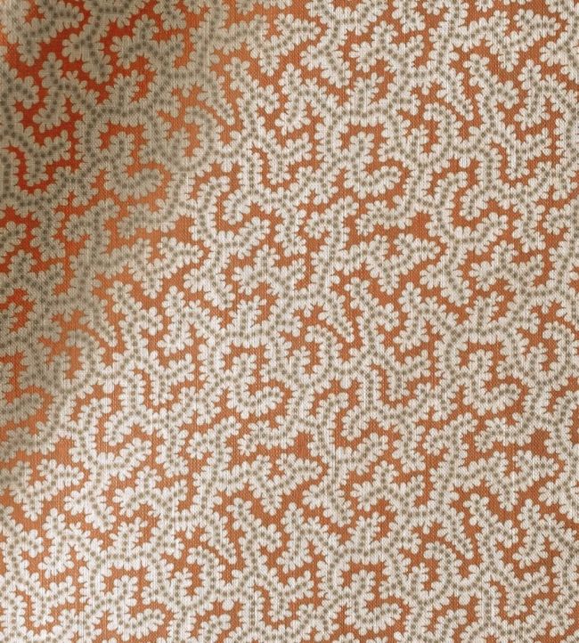 Elney Fabric by Ian Sanderson Ginger