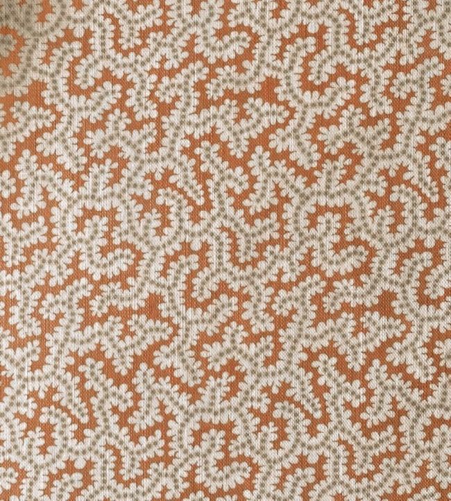 Elney Fabric by Ian Sanderson Ginger