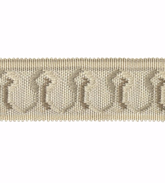 Embroidered Braid 30mm Trimming by Houles Blanc Hermine