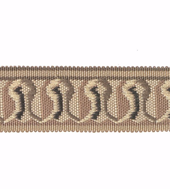 Embroidered Braid 30mm Trimming by Houles Brun Vision