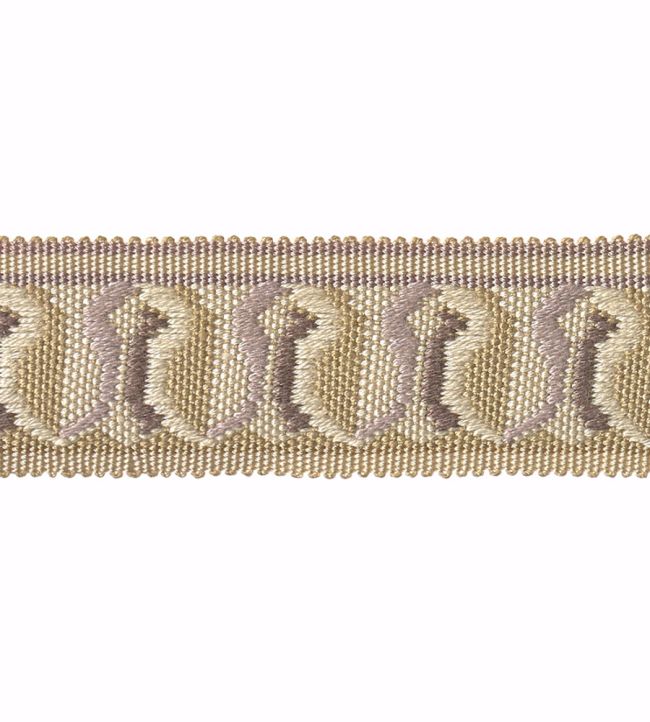 Embroidered Braid 30mm Trimming by Houles Grege Bertin